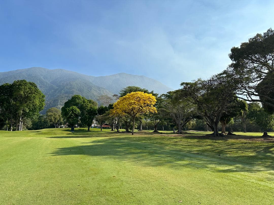 Torneo CGA - Imagen 4